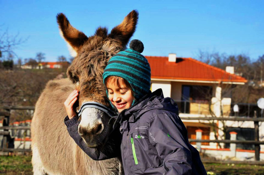 Jewel Was Left To Die In The Cold But These People In Bulgaria Could Not Let It Happen Jewel Was Left To Die In The Cold But These People In Bulgaria Could Not Let It Happen