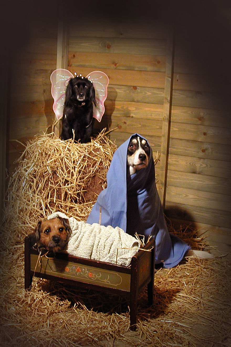 My Christmas Cards For The Last Eight Years My Christmas Cards For The Last Eight Years