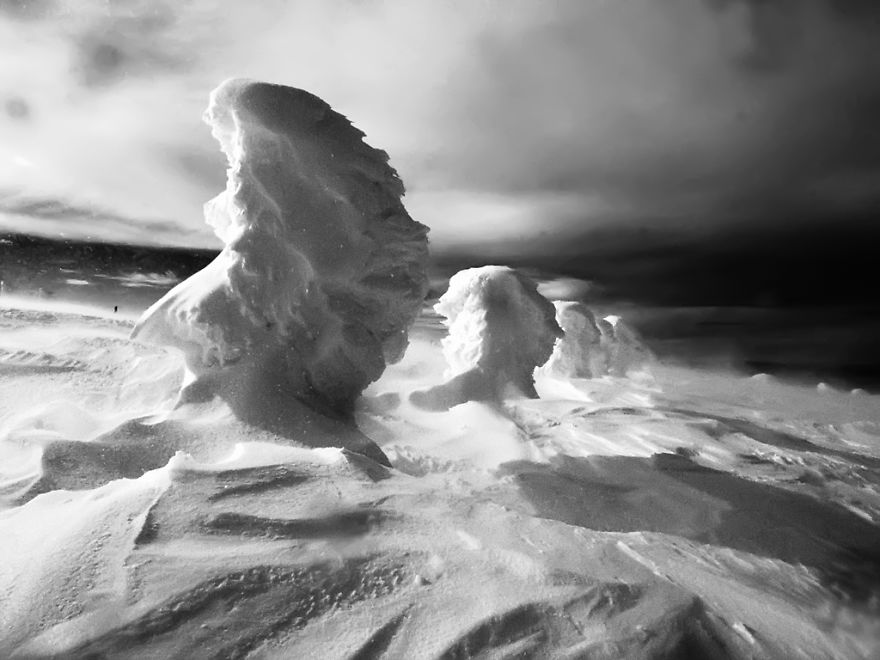 Winter Portraits (photo: Vladimir Gergov)