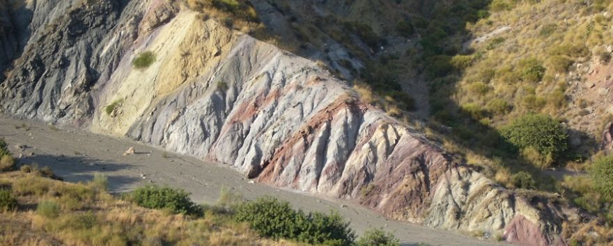 On The Beach: My Microscopic Journey In Southern Spain