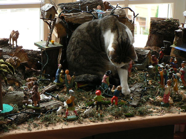 A Tyrannosaurus In A Nativity Scene