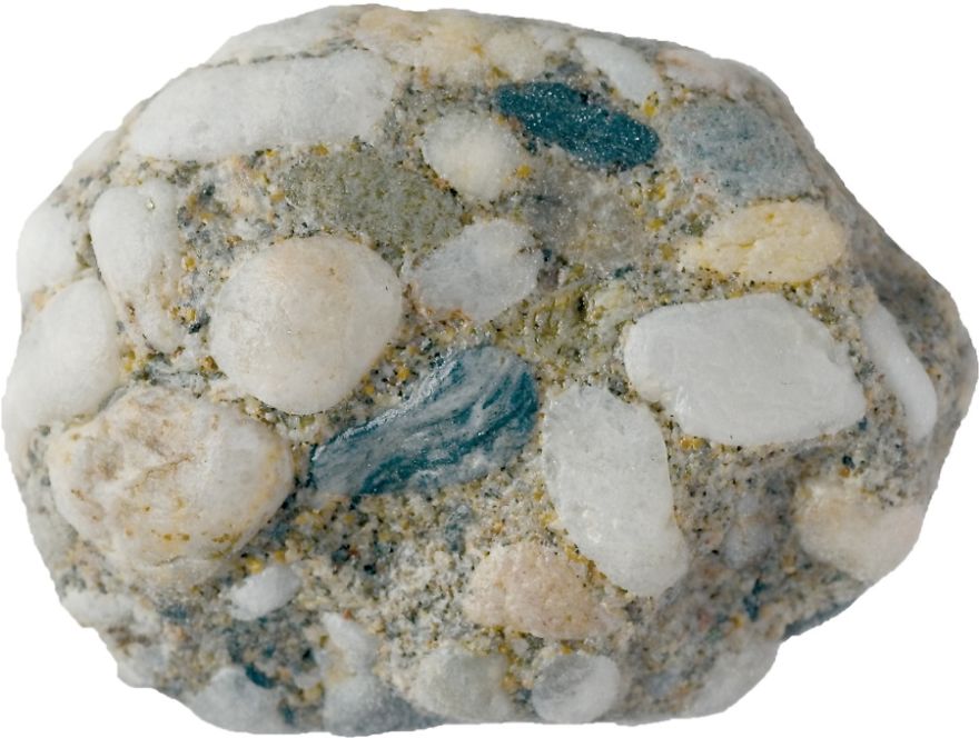 On The Beach: My Microscopic Journey In Southern Spain