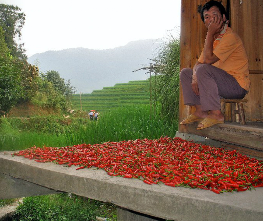 Longji Titian, China - Chili Merchant