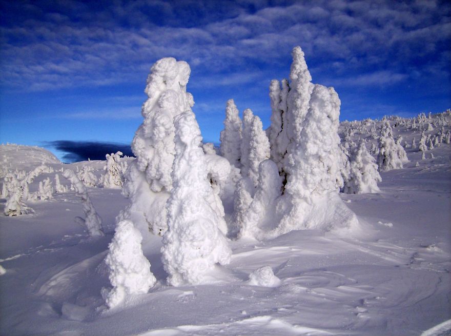 Big White Snowghosts
