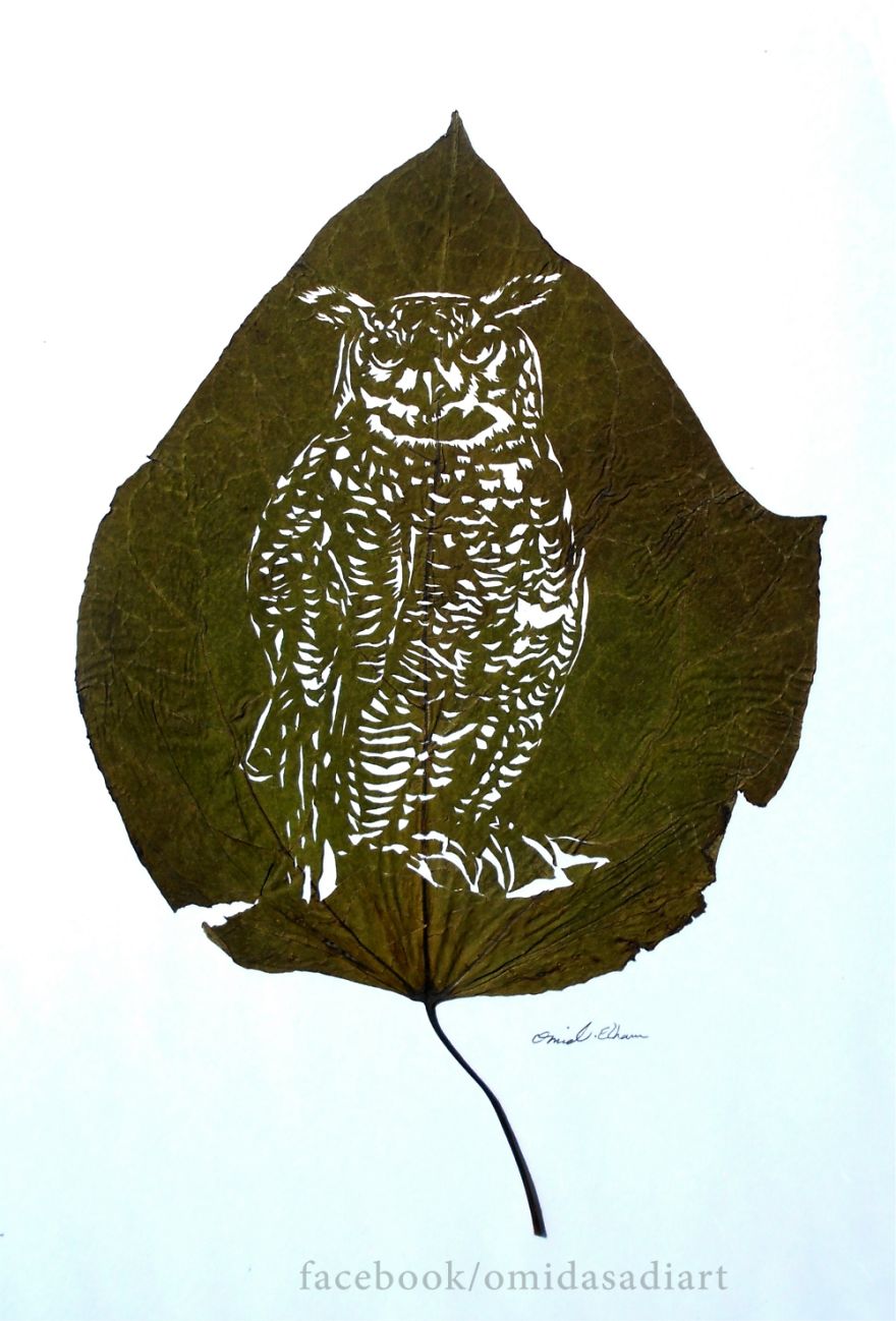 More Of My Delicate Leaf Cuttings More Of My Delicate Leaf Cuttings