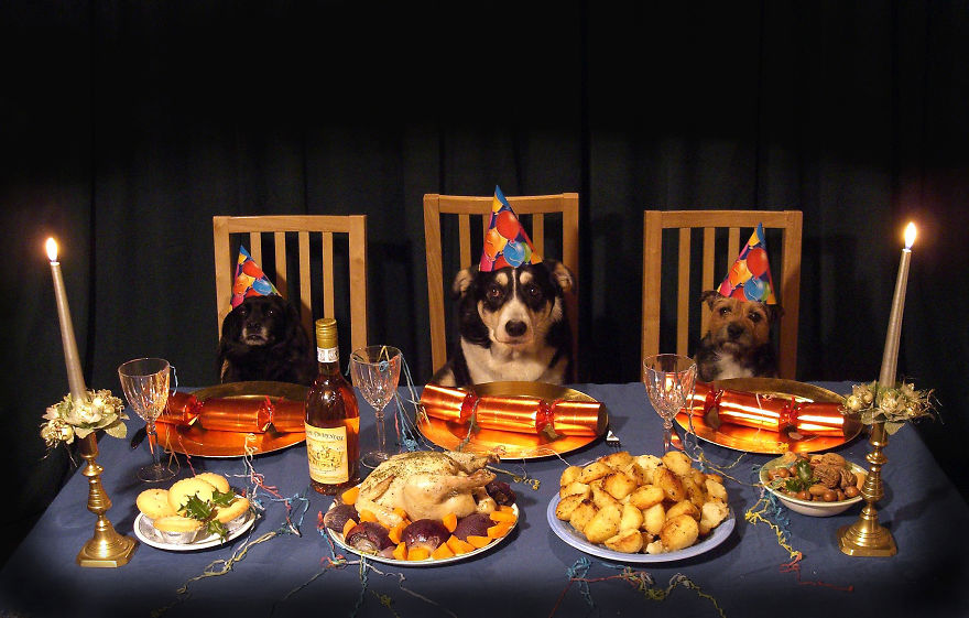 My Christmas Cards For The Last Eight Years My Christmas Cards For The Last Eight Years