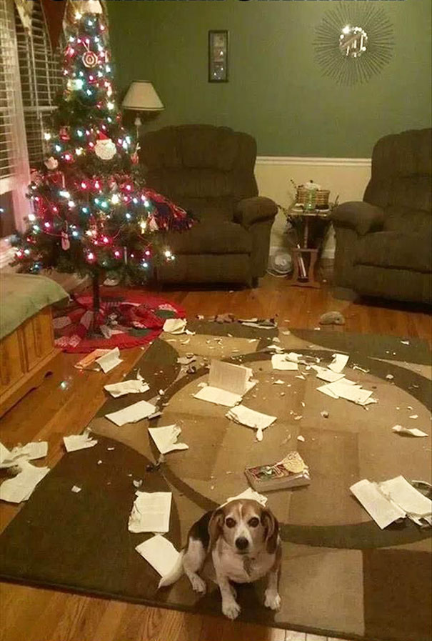 It wasn't me. I swear!