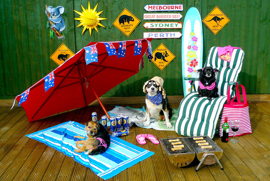 My Christmas Cards For The Last Eight Years My Christmas Cards For The Last Eight Years