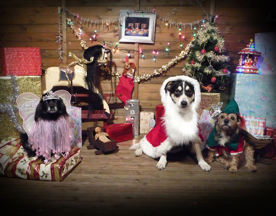 My Christmas Cards For The Last Eight Years My Christmas Cards For The Last Eight Years