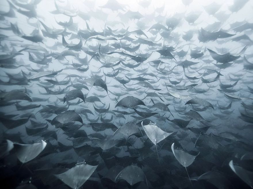 "50 Shades of Ray" in Baja, Mexico