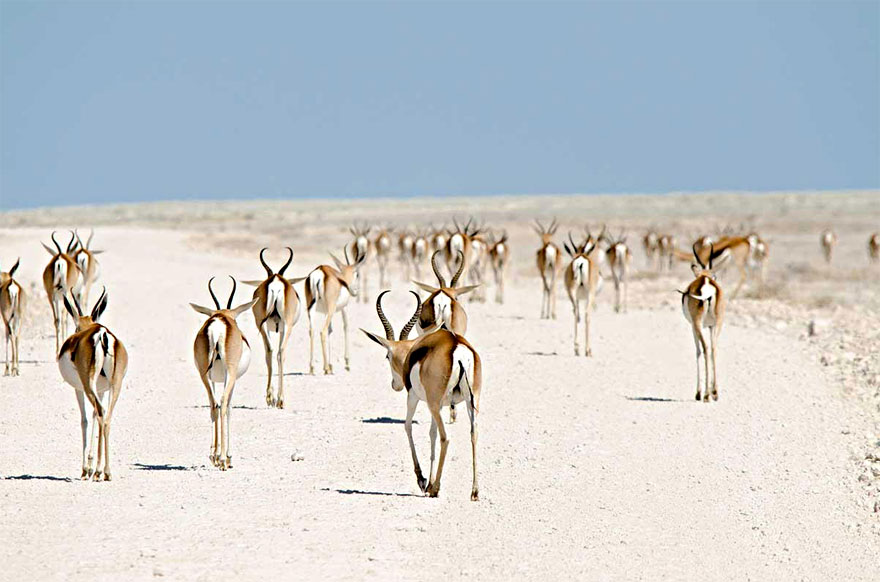 Springbok, Namibia