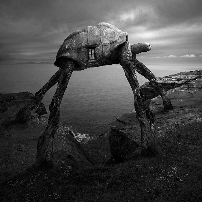 Surreal Portraits Of Animals Traveling The Earth