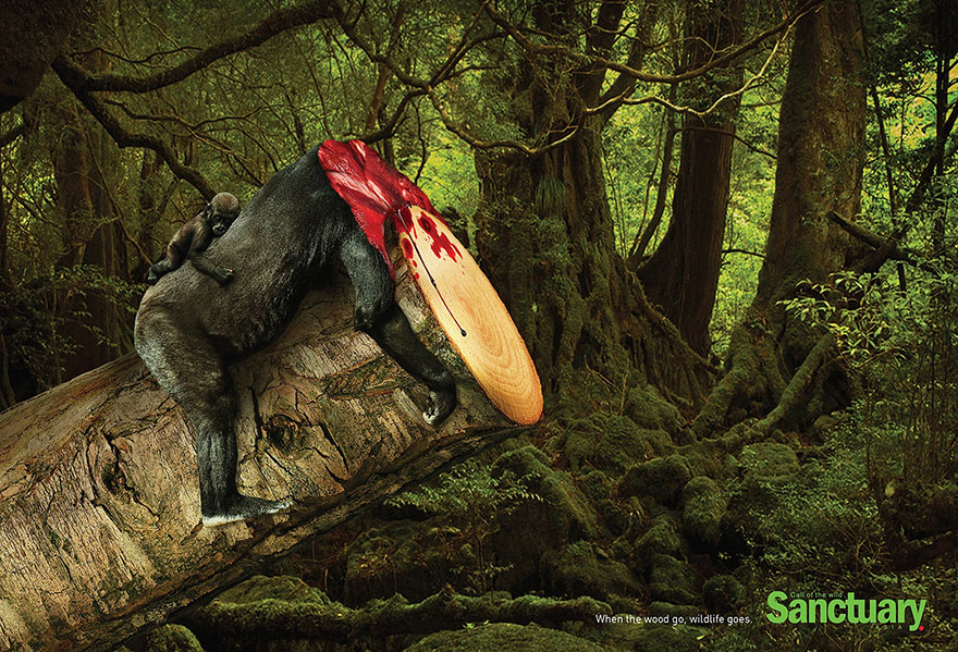 animal-rights-social-ads-call-of-the-wild-sanctuary-asia-4