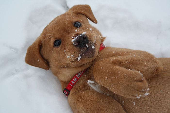 First Time In The Snow