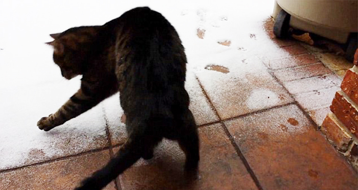 Sophie's First Time Seeing Snow