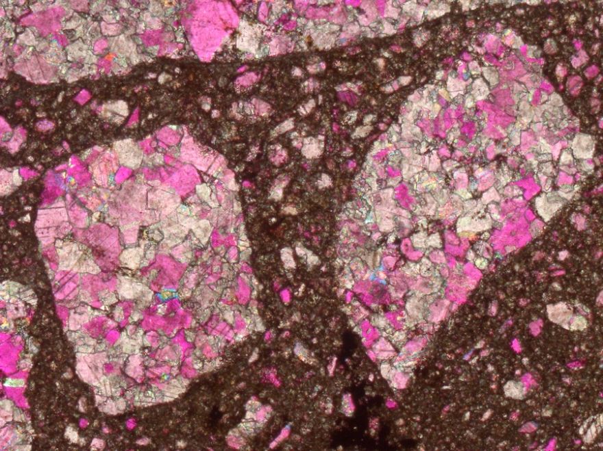 On The Beach: My Microscopic Journey In Southern Spain