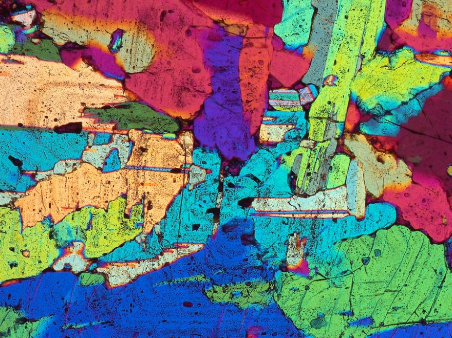 On The Beach: My Microscopic Journey In Southern Spain