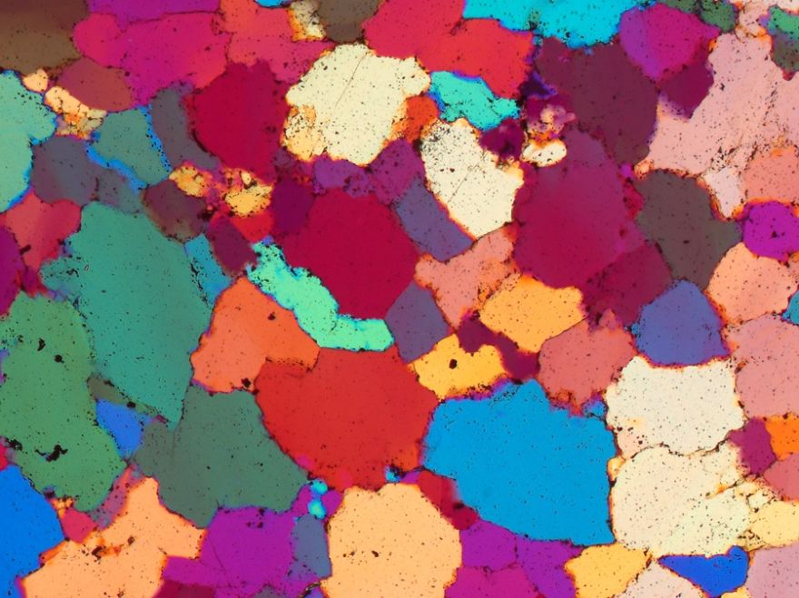 On The Beach: My Microscopic Journey In Southern Spain