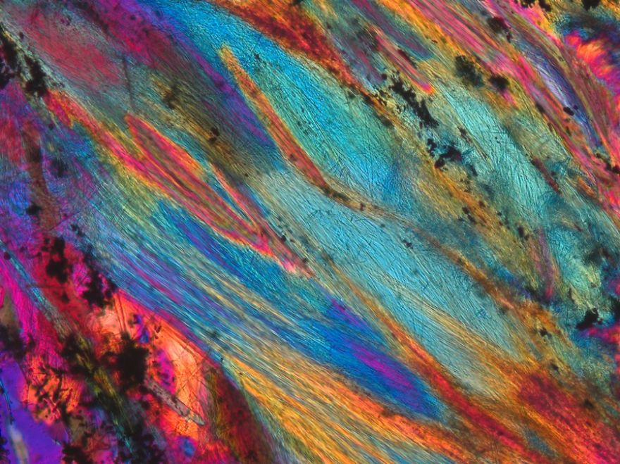 On The Beach: My Microscopic Journey In Southern Spain