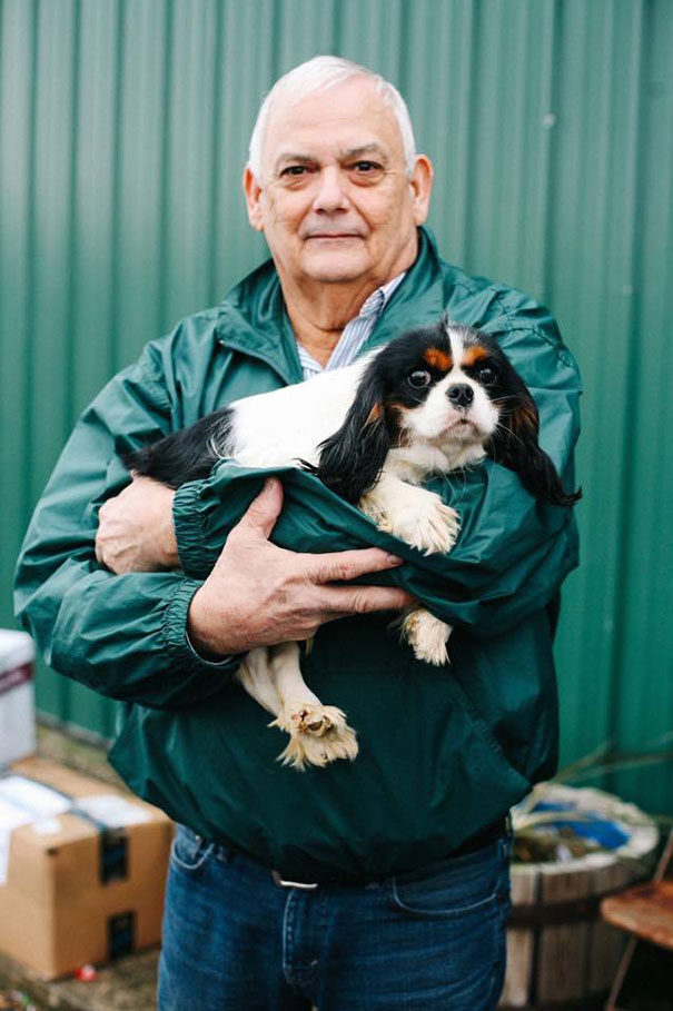 cavalier-king-charles-cocker-spaniel-rescue-puppy-mill-auction-9 cavalier-king-charles-cocker-spaniel-rescue-puppy-mill-auction-9