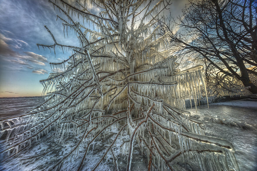 Otherworldly Photos Of A Fall Day In Montreal