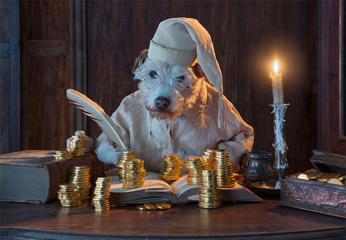 dog-transformed-to-other-animals-holiday-card-11 dog-transformed-to-other-animals-holiday-card-11