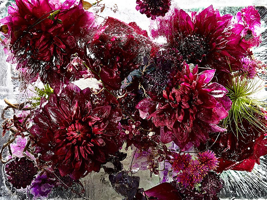 frozen-flowers-locked-in-ether-kenji-shibata-1