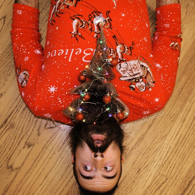 funny-creative-beard-styles-incredibeard-22