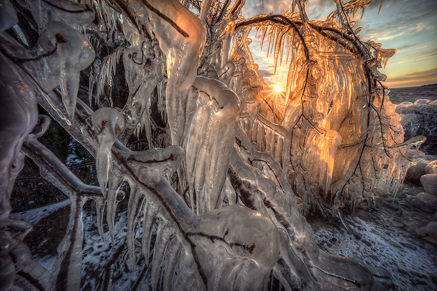 Otherworldly Photos Of A Fall Day In Montreal