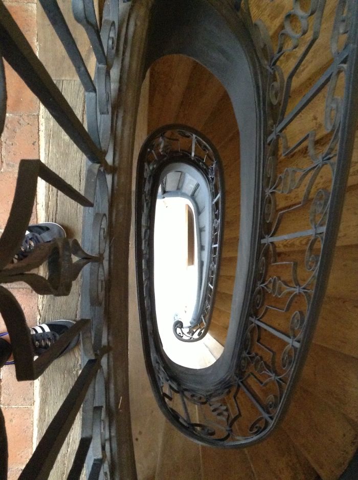 Musée De La Chasse Et De La Nature, Paris