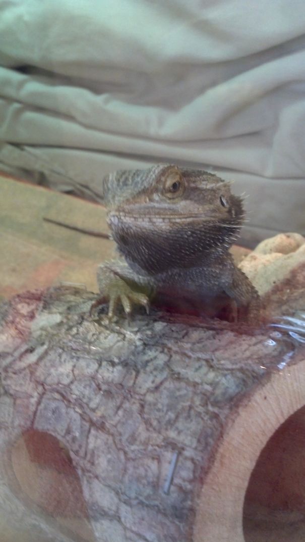 Well Hello There, My Name Is Mr. Right; I Heard You Were Looking For Me?