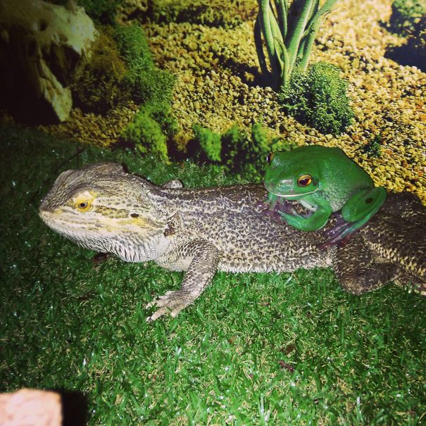 We're Not Friends Really...