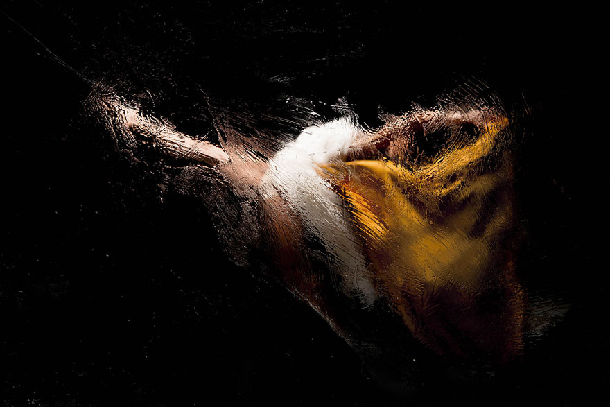 impressionist-experience-14