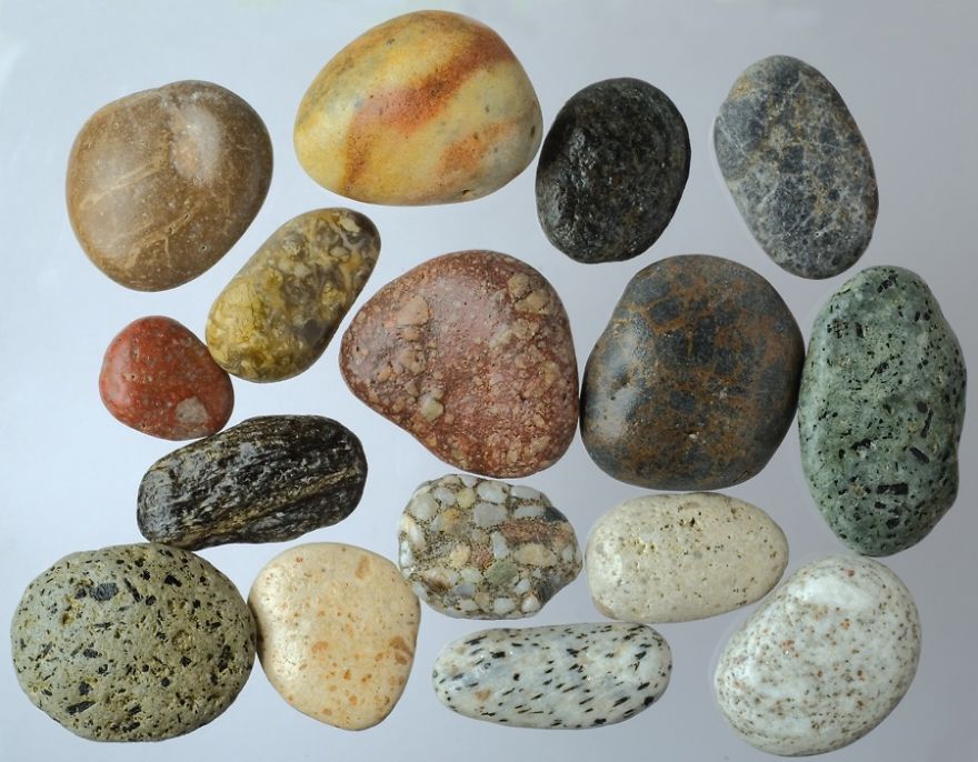 On The Beach: My Microscopic Journey In Southern Spain