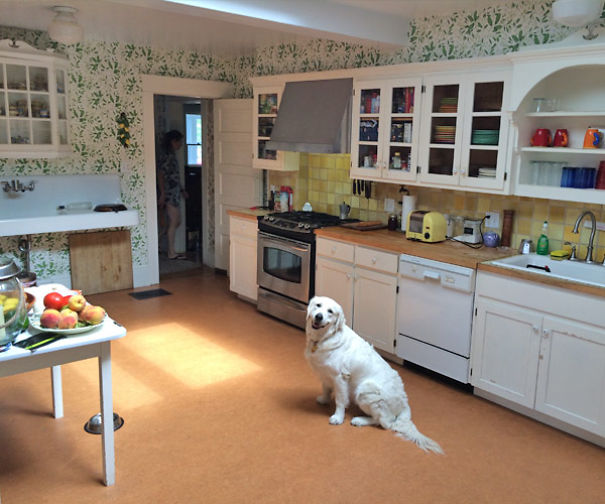 A Real House Turned Into A Pop-up Paper Doll House