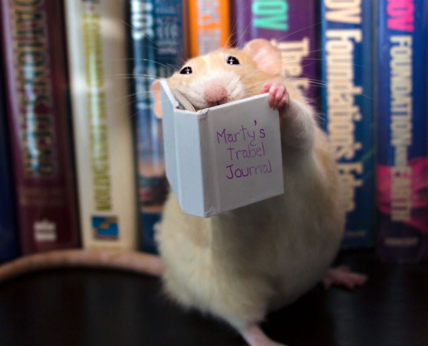 The Adorable Adventures Of Marty Mouse