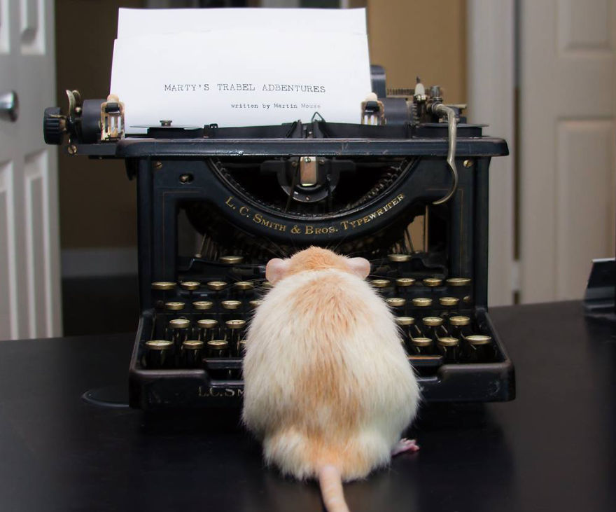 The Adorable Adventures Of Marty Mouse