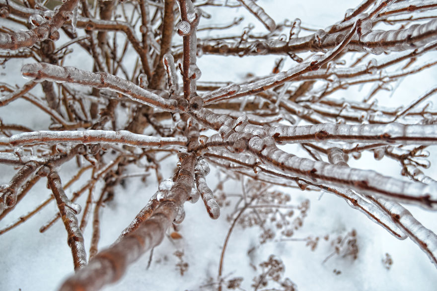 Frozen Rain In Canada