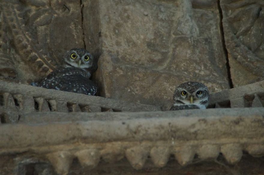 We Do Not Like To Be Photographed