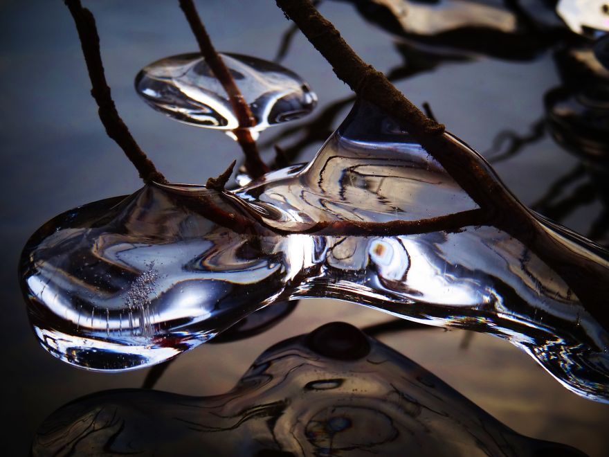 Ice Drop On Branches In A Crater (iceland)