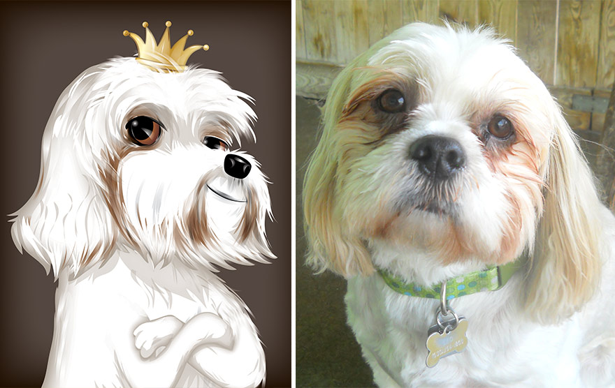 pet-portraits-drawings-chriss-beetow-10