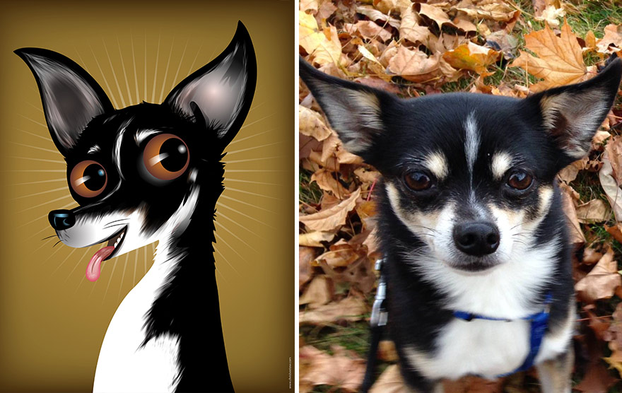 pet-portraits-drawings-chriss-beetow-13