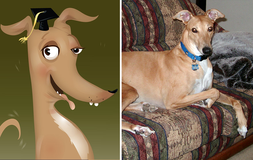 pet-portraits-drawings-chriss-beetow-16 pet-portraits-drawings-chriss-beetow-16