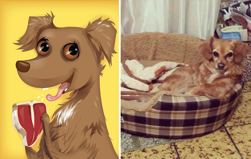 pet-portraits-drawings-chriss-beetow-18