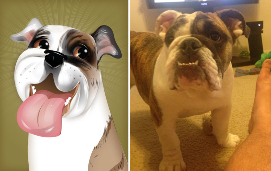 pet-portraits-drawings-chriss-beetow-4 pet-portraits-drawings-chriss-beetow-4