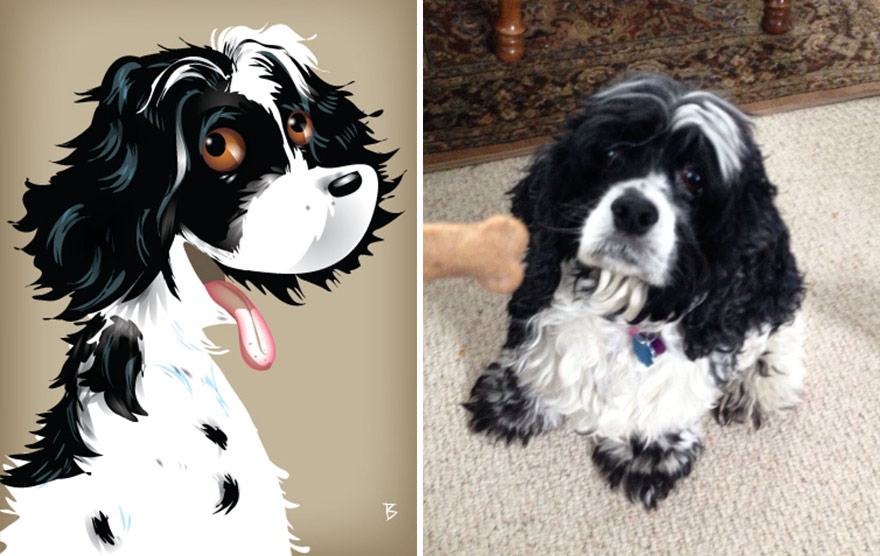 pet-portraits-drawings-chriss-beetow-5 pet-portraits-drawings-chriss-beetow-5