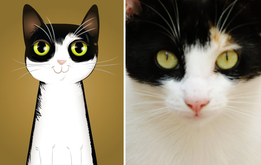 pet-portraits-drawings-chriss-beetow-6