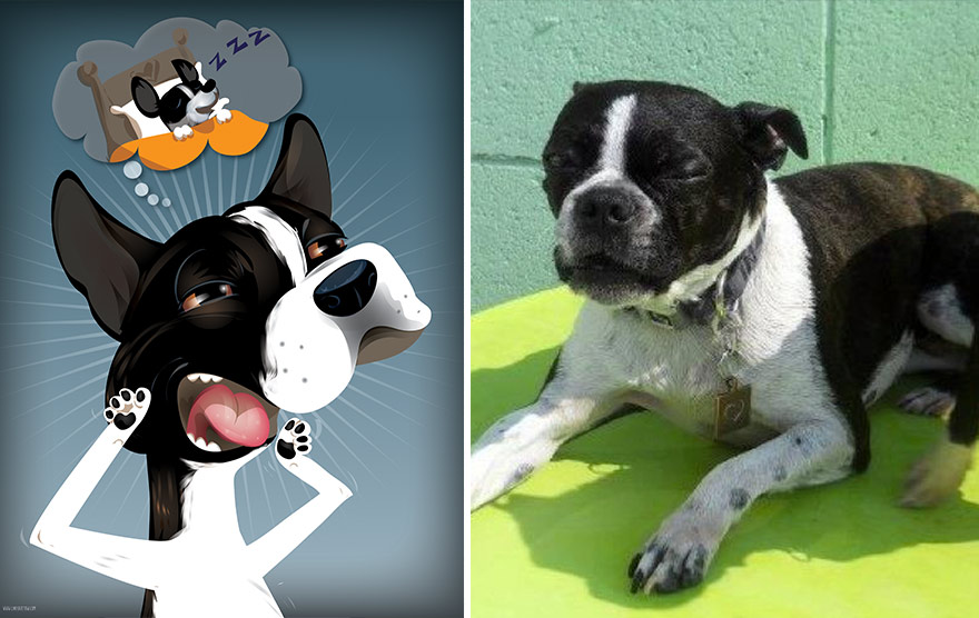 pet-portraits-drawings-chriss-beetow-7 pet-portraits-drawings-chriss-beetow-7