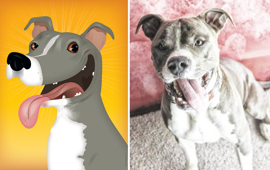 pet-portraits-drawings-chriss-beetow-8