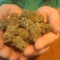 547b536a151be avatar